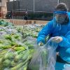 ‘Chuyến xe thực phẩm 0 đồng’ chở hơn 10 tấn rau củ hỗ trợ người dân TP.HCM