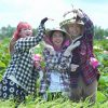 Hoa hậu Thùy Tiên tôn vinh nét đẹp nông sản Việt trong show thực tế mới
