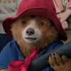 ‘Paddington: Gấu thủ chu du’ sẵn sàng chinh phục rạp Tết 2025